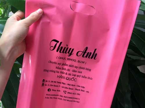 Công ty túi ni lông tại Thủ Dầu Một Bình Dương 7 In túi ni lông shop Thùy Anh