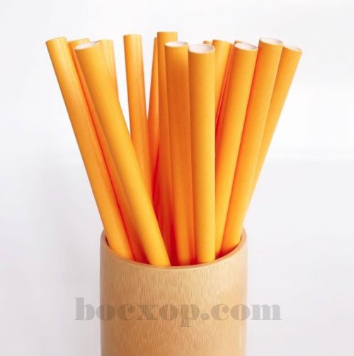 Lợi ích của ống hút giấy mà người dùng cần nên biết 6