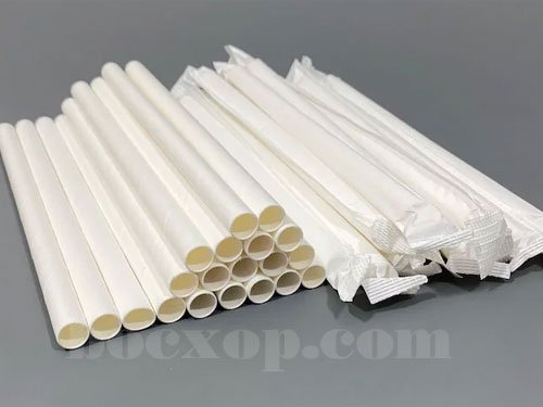 Mua ống hút giấy giá sỉ ở đâu tại Tphcm 12 onghut8